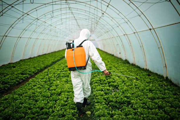 Best Affordable Pest Control Services  in Riddle, OR